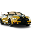 Double Racing Stripe Decal | Universal 17" Wide Full Body Hood to Trunk Vinyl Rally Sticker | Cars, Trucks, SUVs | Gloss Matte Fender, Hood, Roof, Side, Trunk, Skirt  GT Black